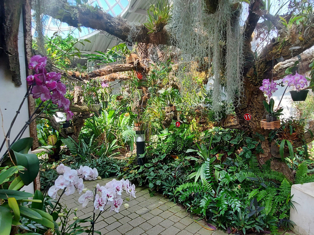 Orquidario de Estepona-埃斯特波纳必去景点