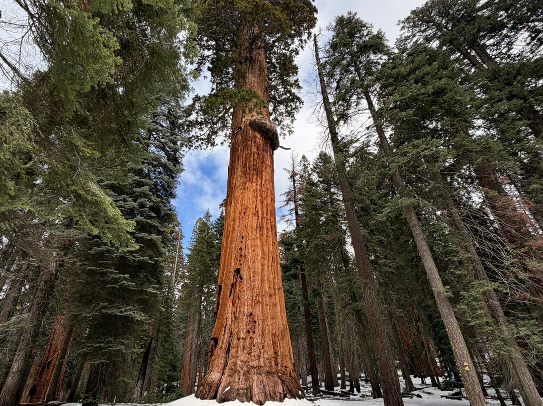 Sequoia and Kings Canyon National Parks-Three Rivers必去景点