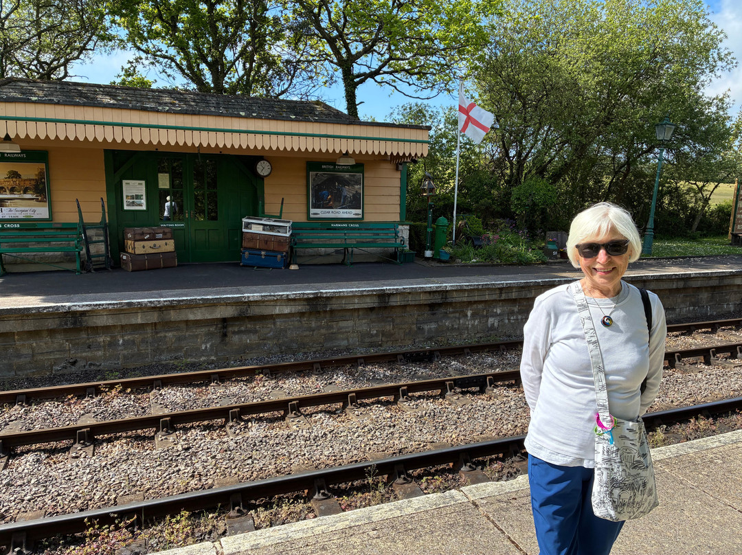 Swanage Railway-斯沃尼奇必去景点