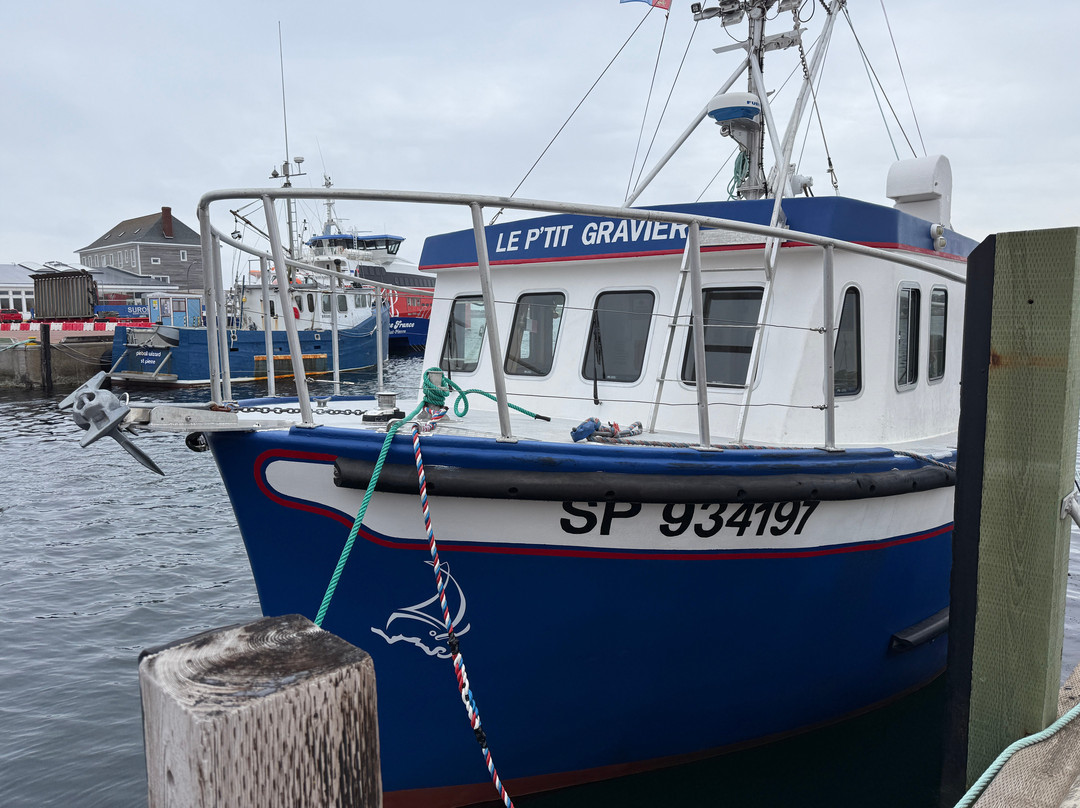 Eléa Guided Tours-Saint-Pierre必去景点