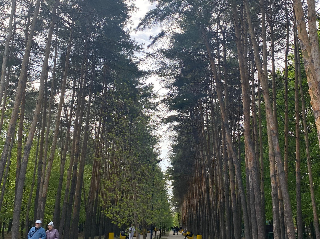 Victory Park-Lipetsk必去景点