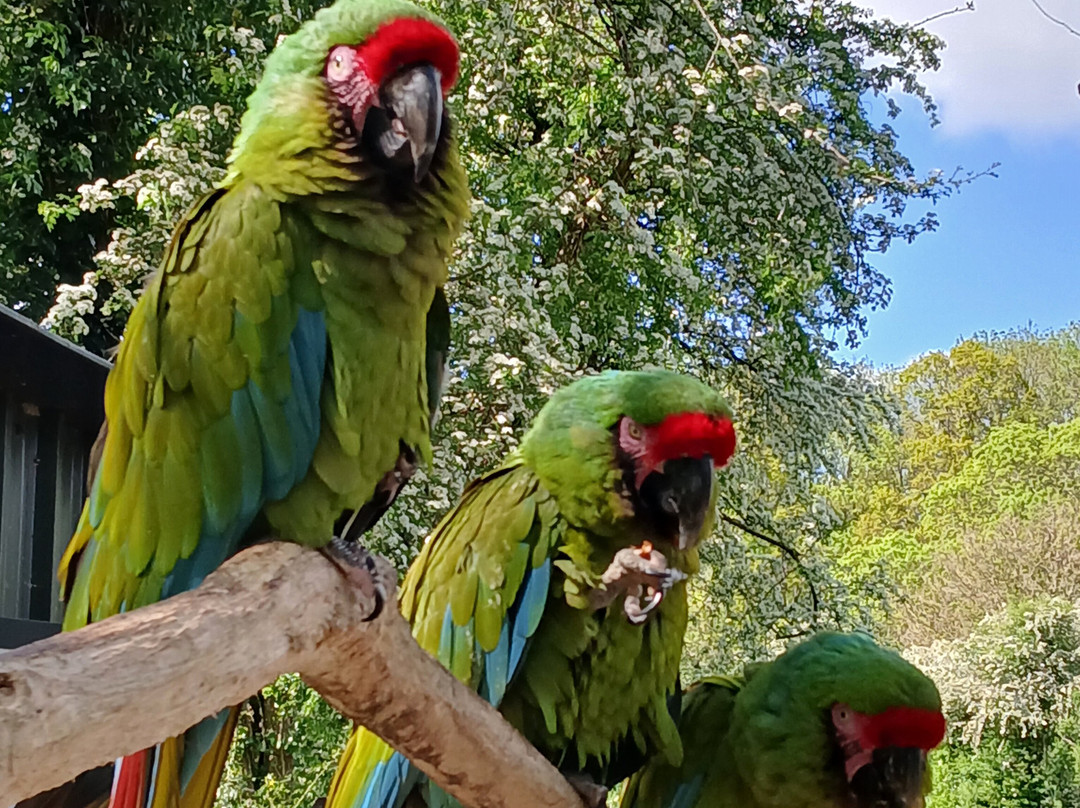 Tropical Birdland-Desford必去景点