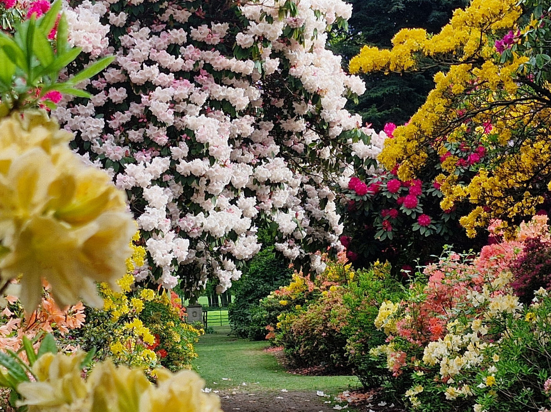 Stody Lodge Gardens-Melton Constable必去景点