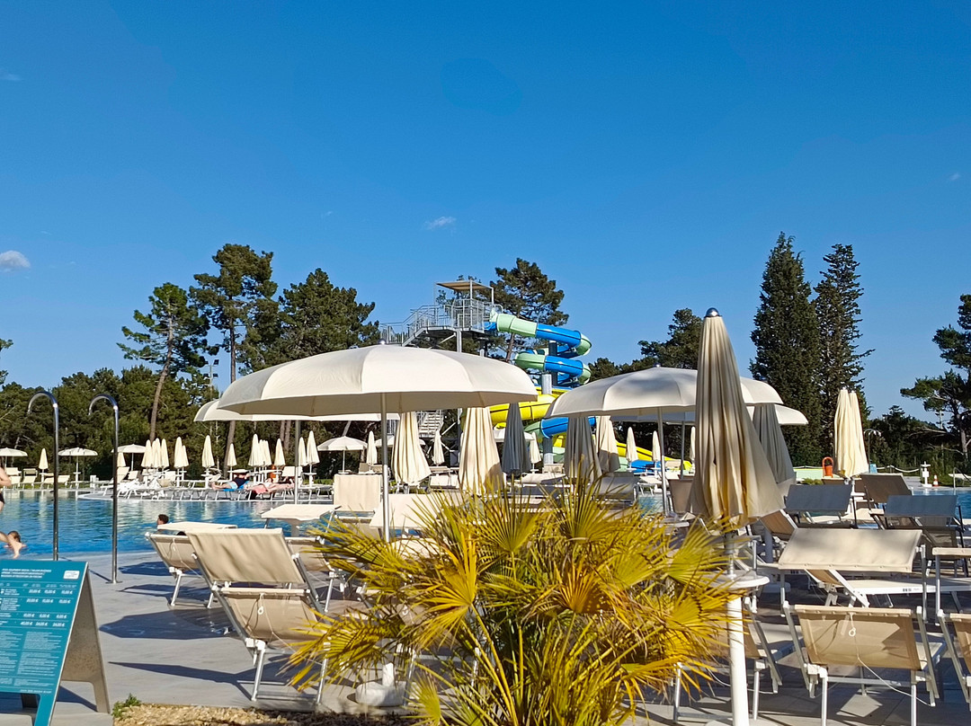 Zaton Holiday Resort 4 Star Apartments主图