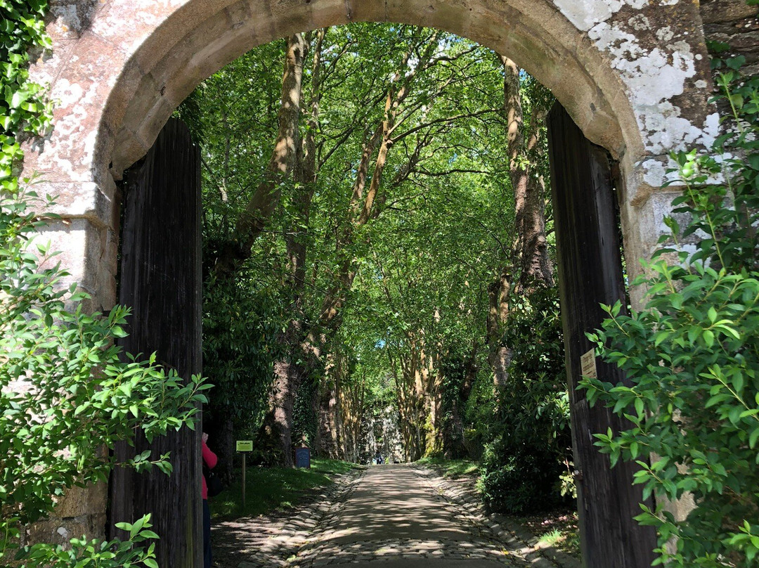 Château de Rochefort-en-Terre-莲蓬头必去景点