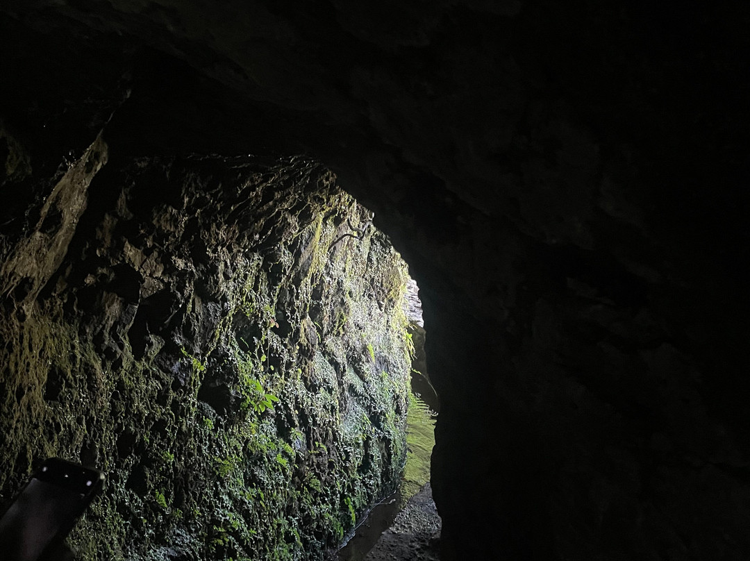 Levada Do Caldeirao Verde-Santana必去景点