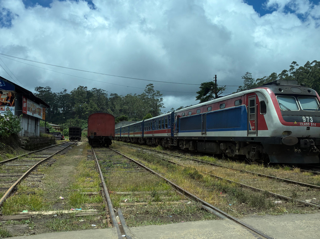 Sri Lanka Driver Tours-Yatiyana必去景点