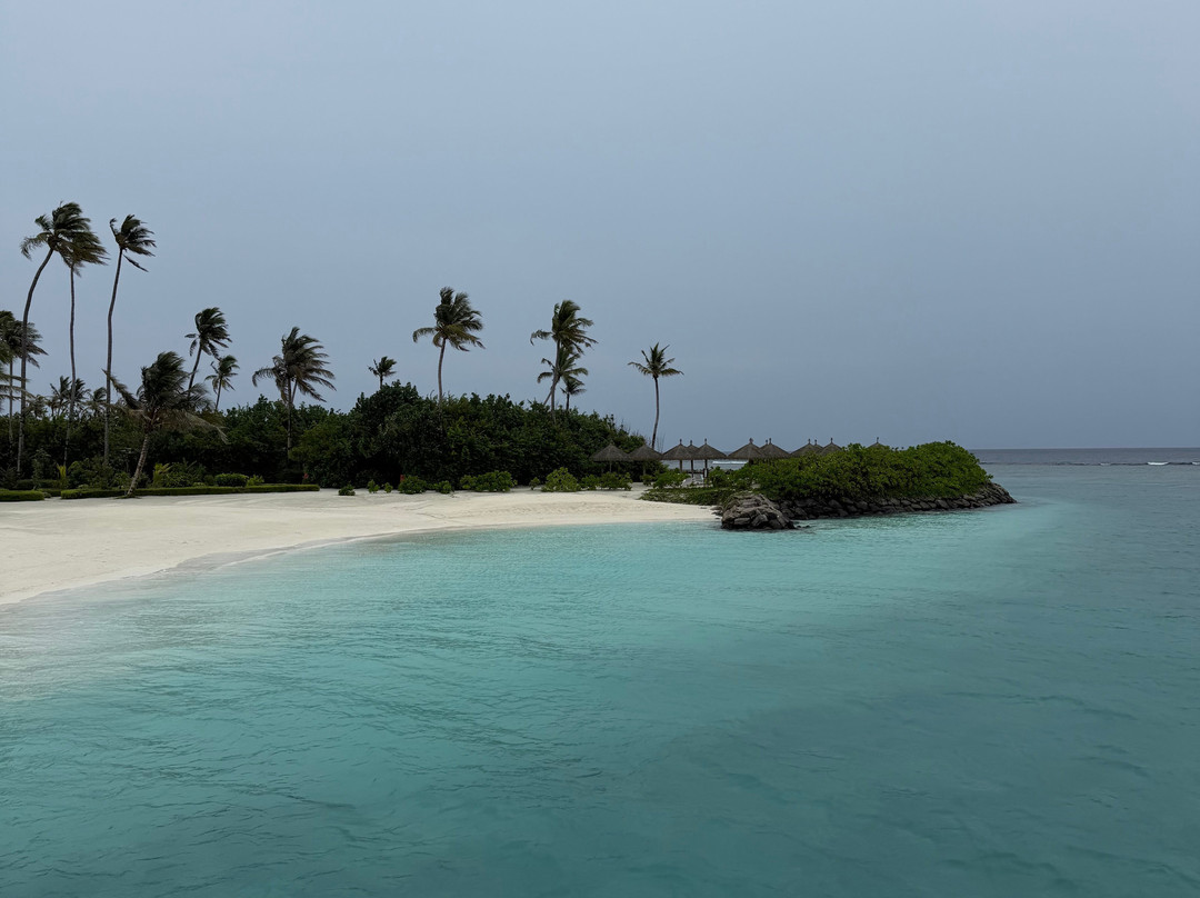 Joy Island Maldives by Cocoon Collection主图