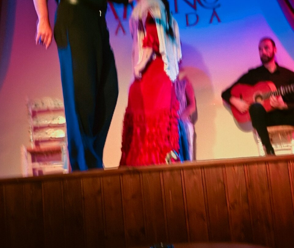 Palacio Flamenco Granada-格拉纳达必去景点