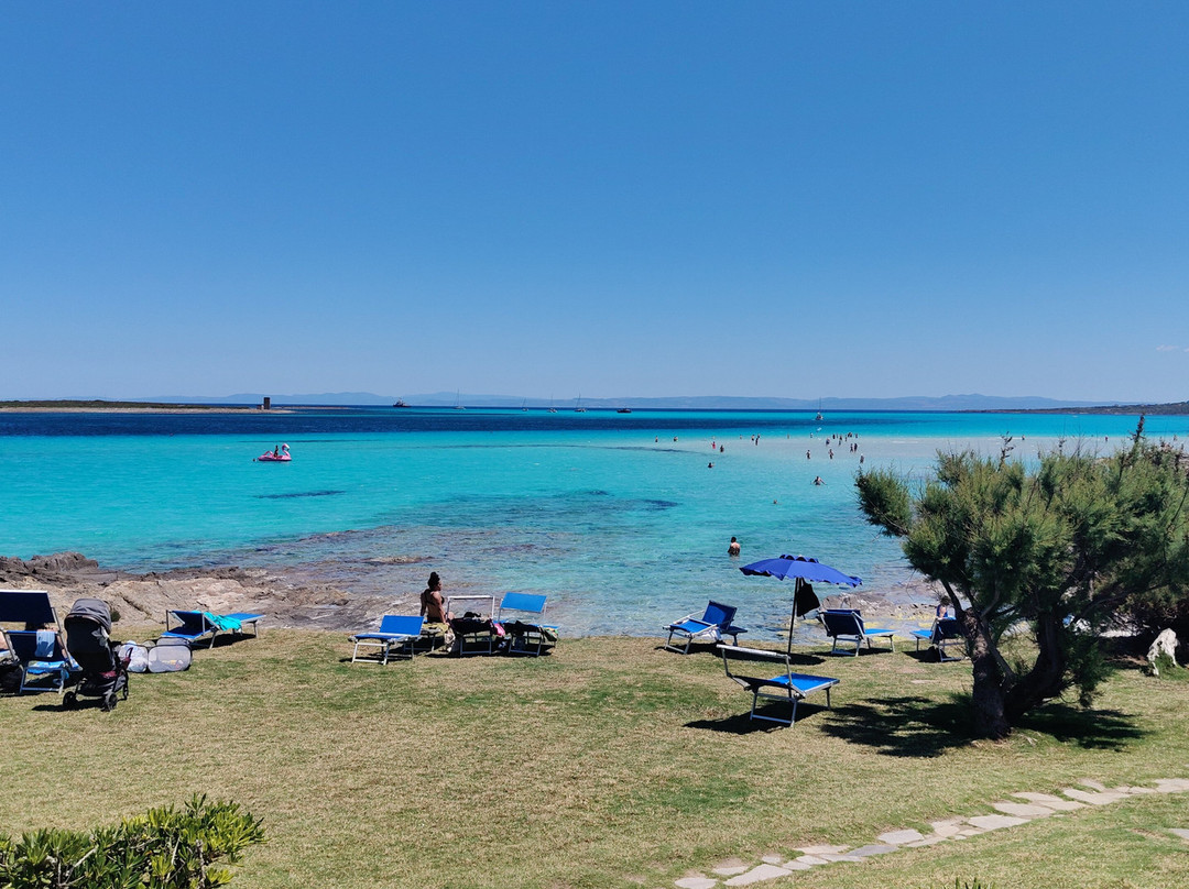 La Pelosa Beach-斯廷蒂诺必去景点