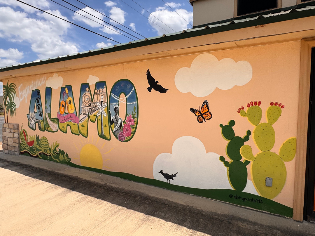 Alamo Inn B&B, Gear & Tours主图