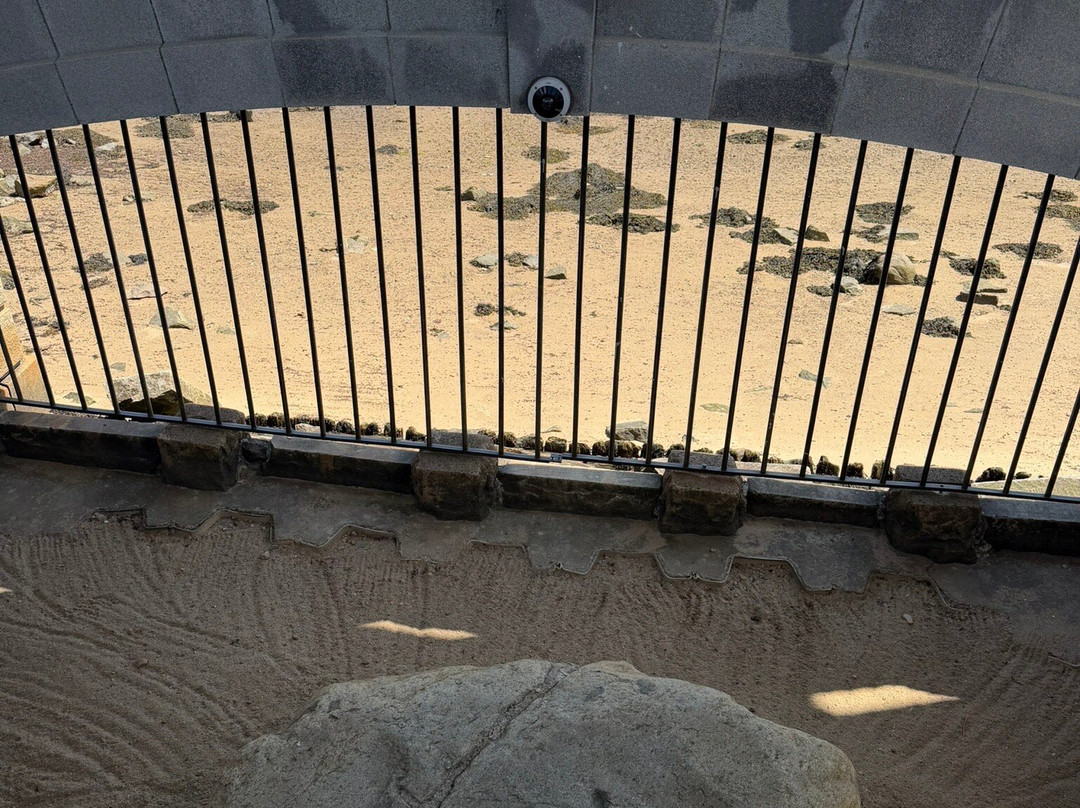 Plymouth Rock - Pilgrim Memorial State Park-普利茅斯必去景点