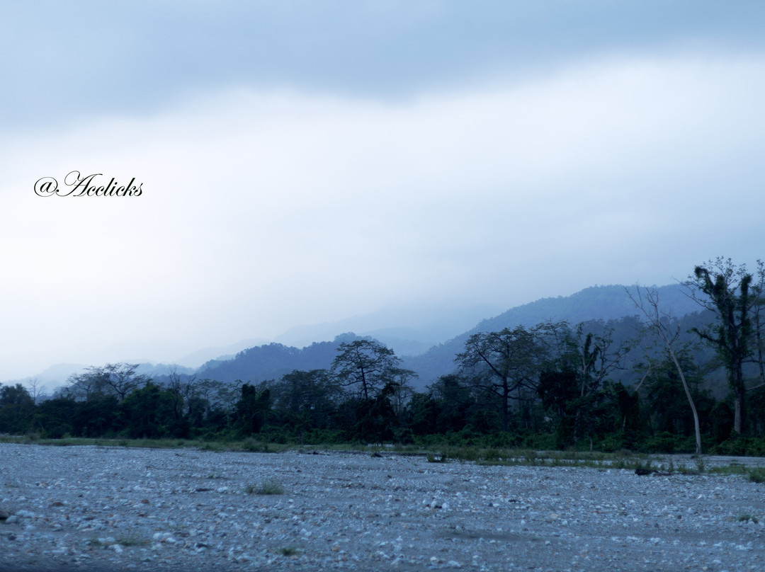 Jayanti Forest-Jalpaiguri必去景点