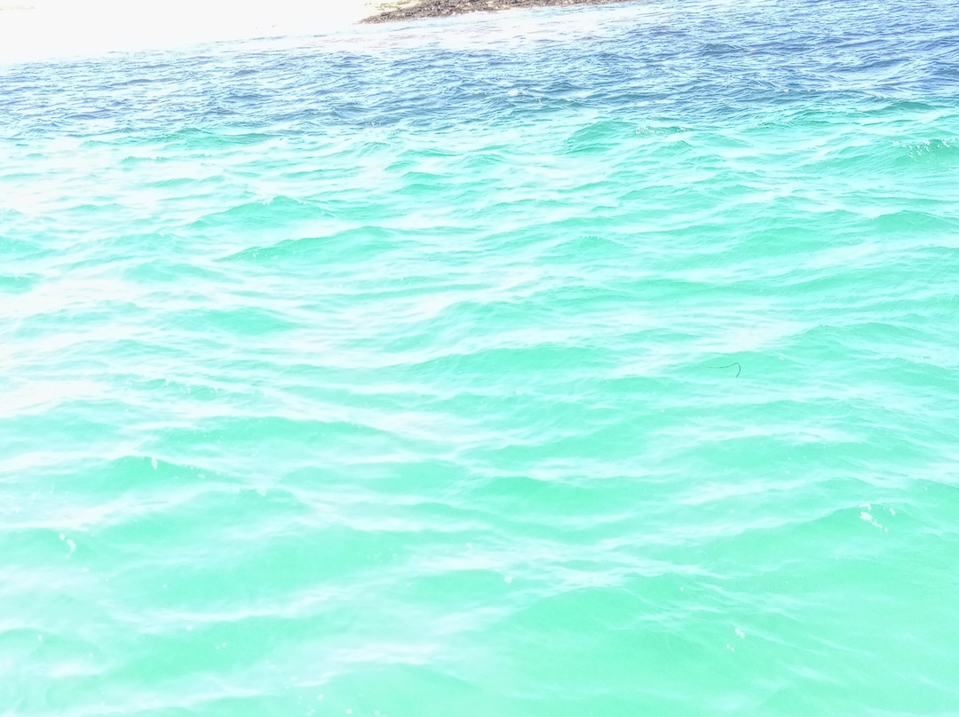 Îles Glénan-Finistere必去景点