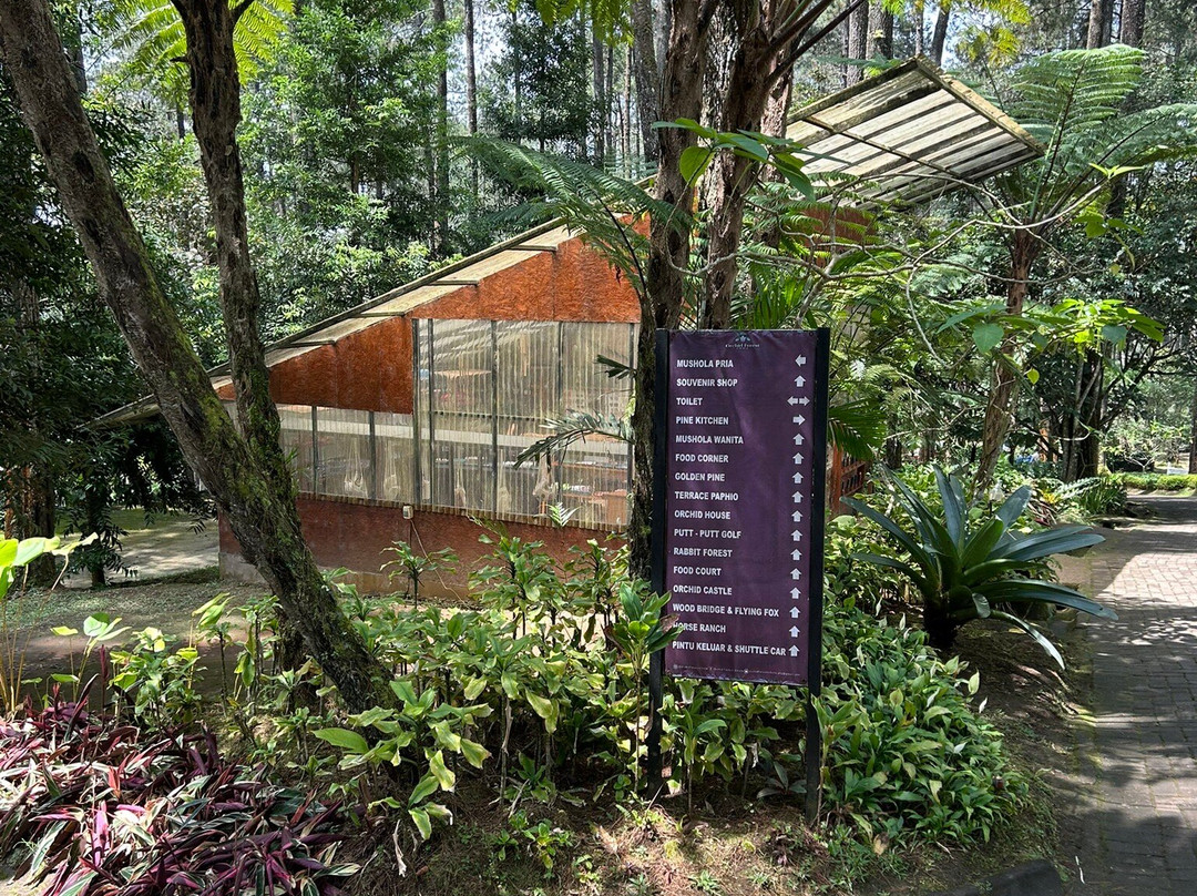 Orchid Forest Cikole-Cikole必去景点