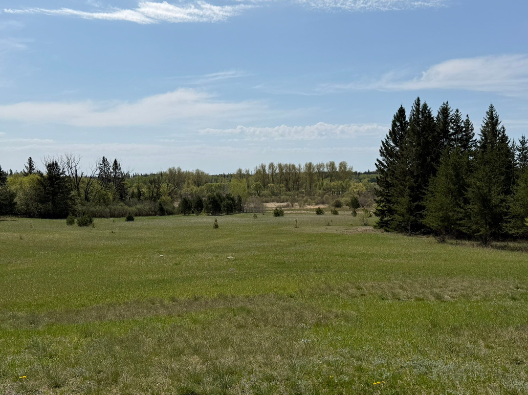 Birds Hill Provincial Park-曼尼托巴省必去景点