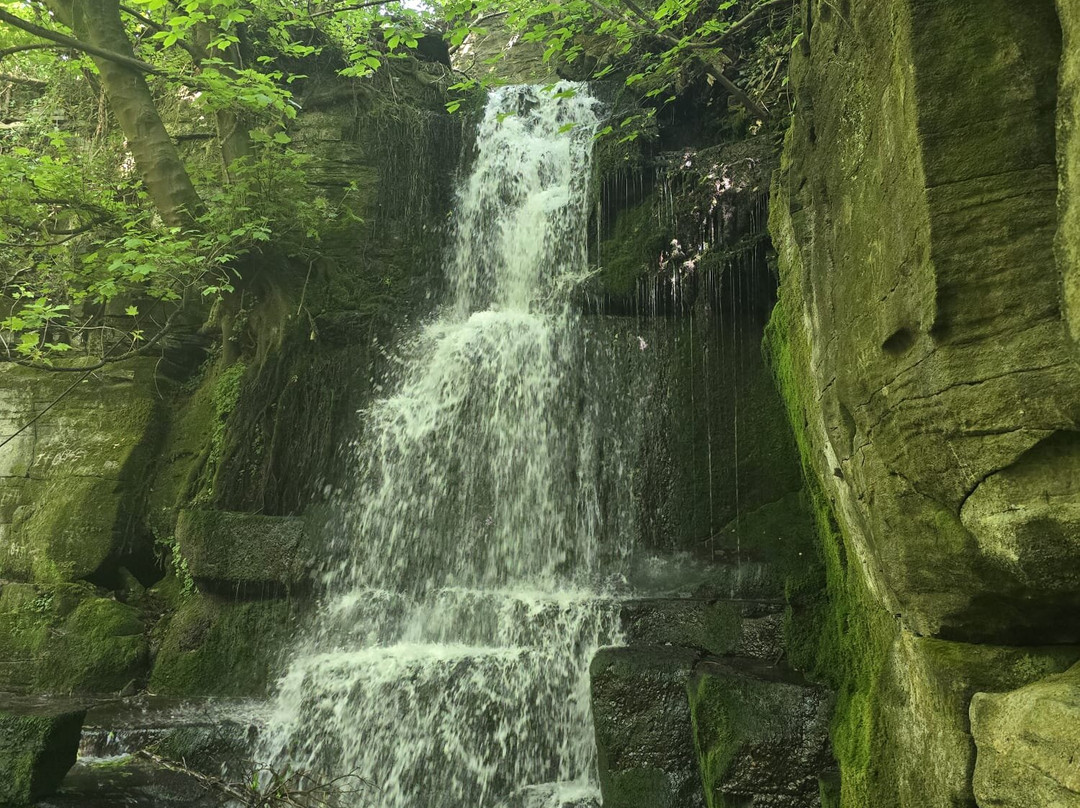 格鲁夫之家住宿加早餐旅馆主图