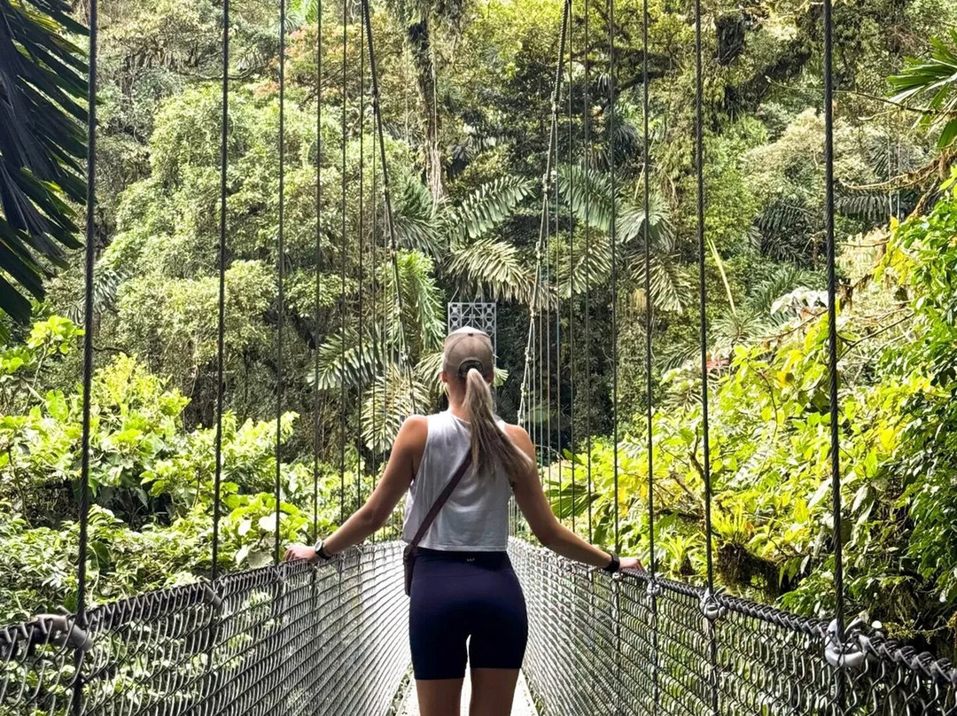 Genuine Costa Rica-Playas del Coco必去景点