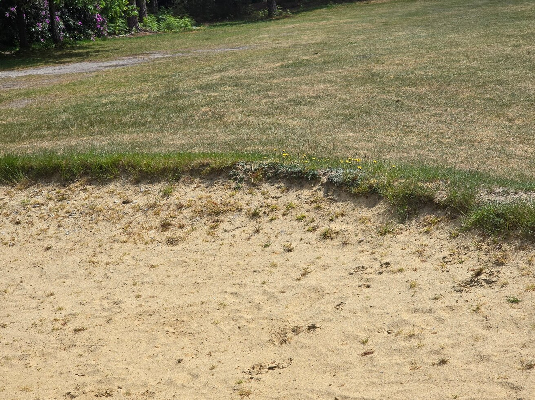Pine Ridge Golf Club-Frimley必去景点