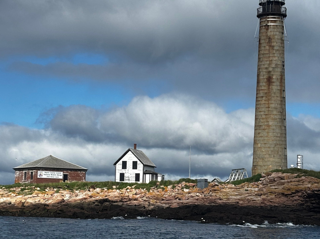 Acadia Puffin Cruise-Steuben必去景点