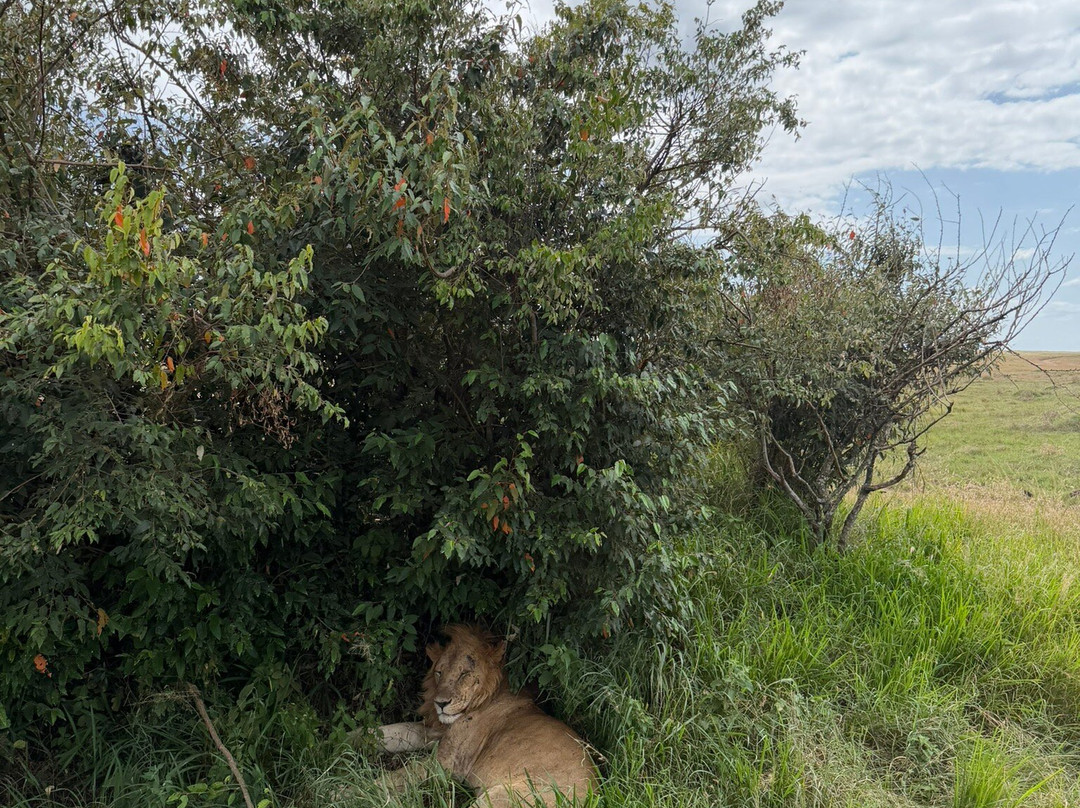 African Kismat Expeditions-Ruiru必去景点