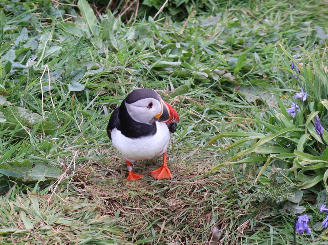 Isle of Lunga-The Hebrides必去景点