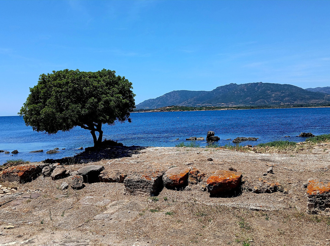 Parco Archeologico Di Nora-普拉必去景点