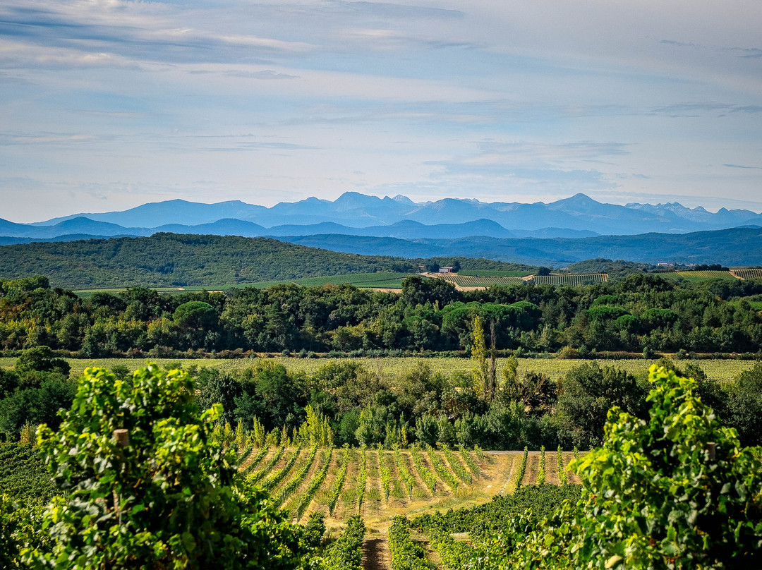 Domaine Gayda-Brugairolles必去景点