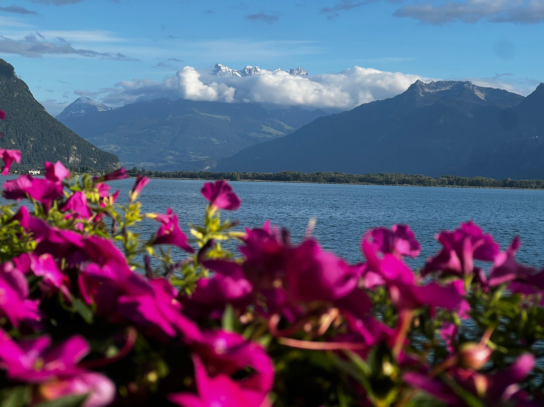 B&B Guest House Du Lac