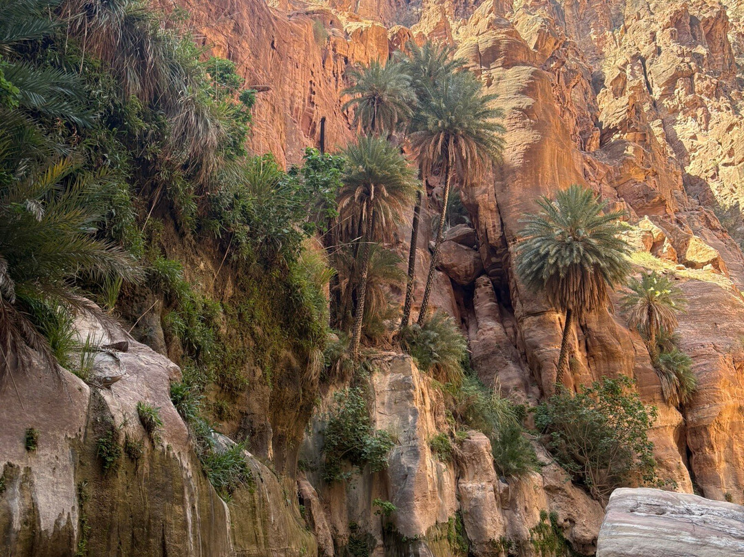 Jordan Trail Adventures-佩特拉必去景点