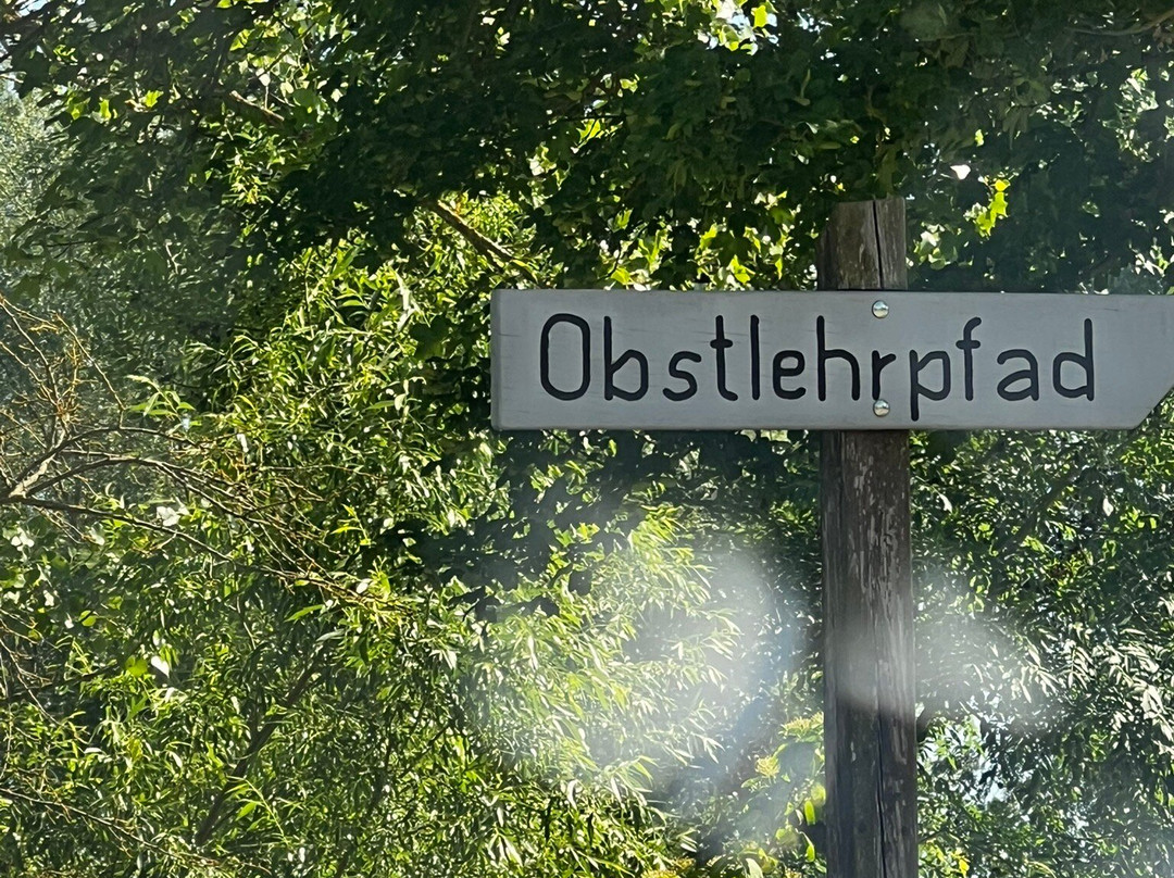 Schwarzer Adler主图
