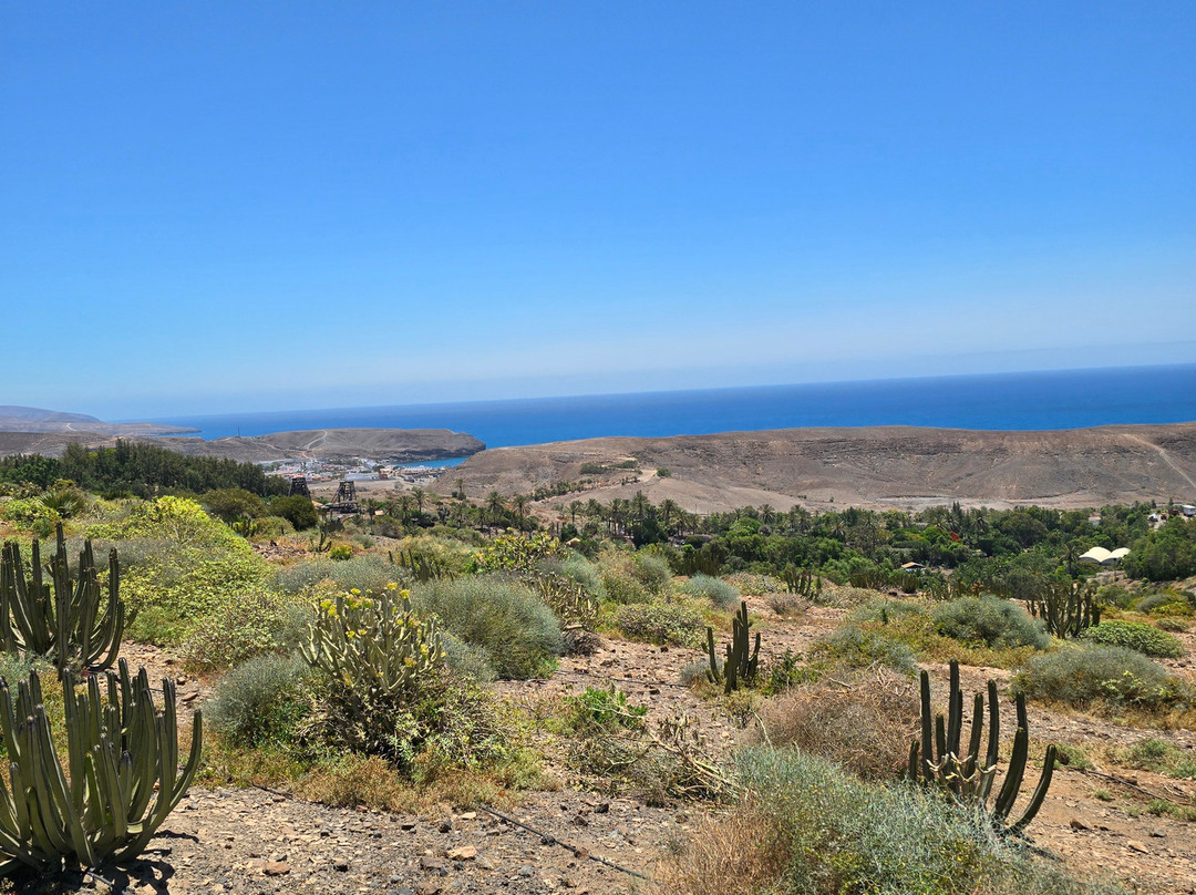 Oasis Park Fuerteventura-La Lajita必去景点