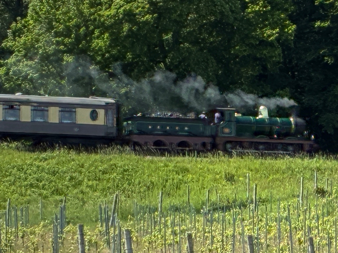 Kingscote Estate and Vineyard-东格林斯特德必去景点