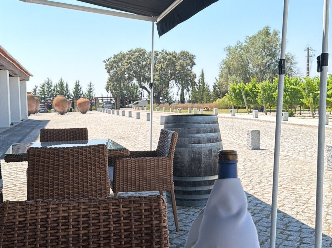 Herdade das Servas - Enoturismo-Estremoz必去景点