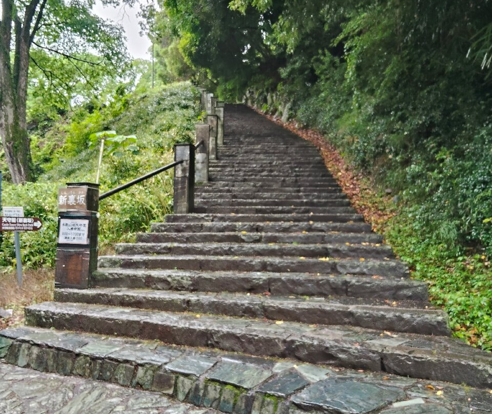 和歌山城-和歌山市必去景点
