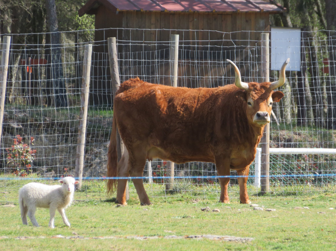 Boticas Parque Natur Houses主图