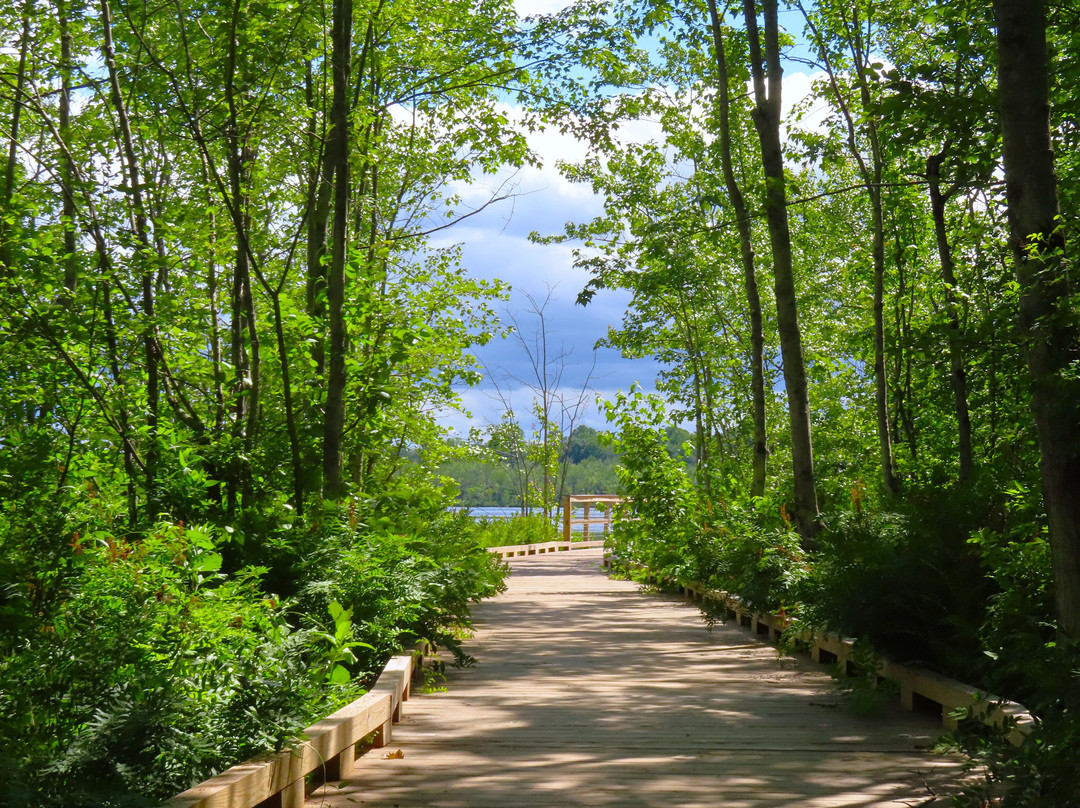 Beaver Lake Nature Center-Baldwinsville必去景点