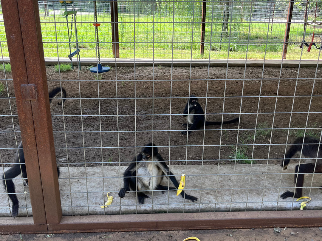 Safari Zoological Park-Caney必去景点
