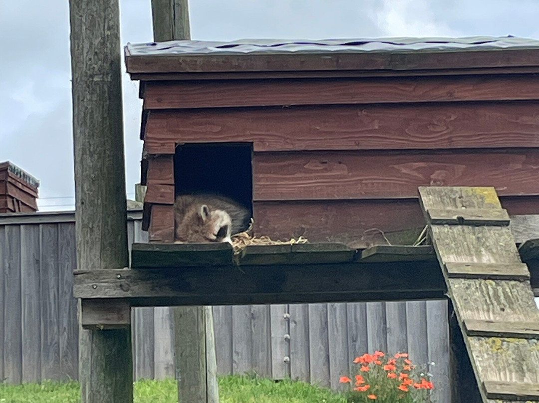 Wolds Wildlife Park-Horncastle必去景点