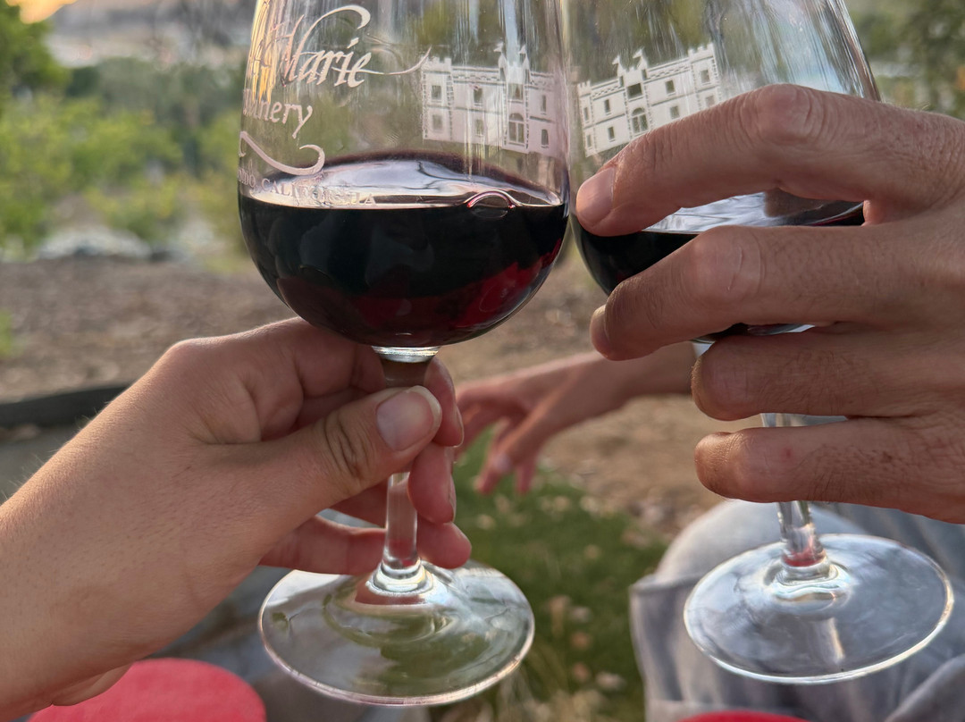Belle Marie Winery-埃斯孔迪多必去景点