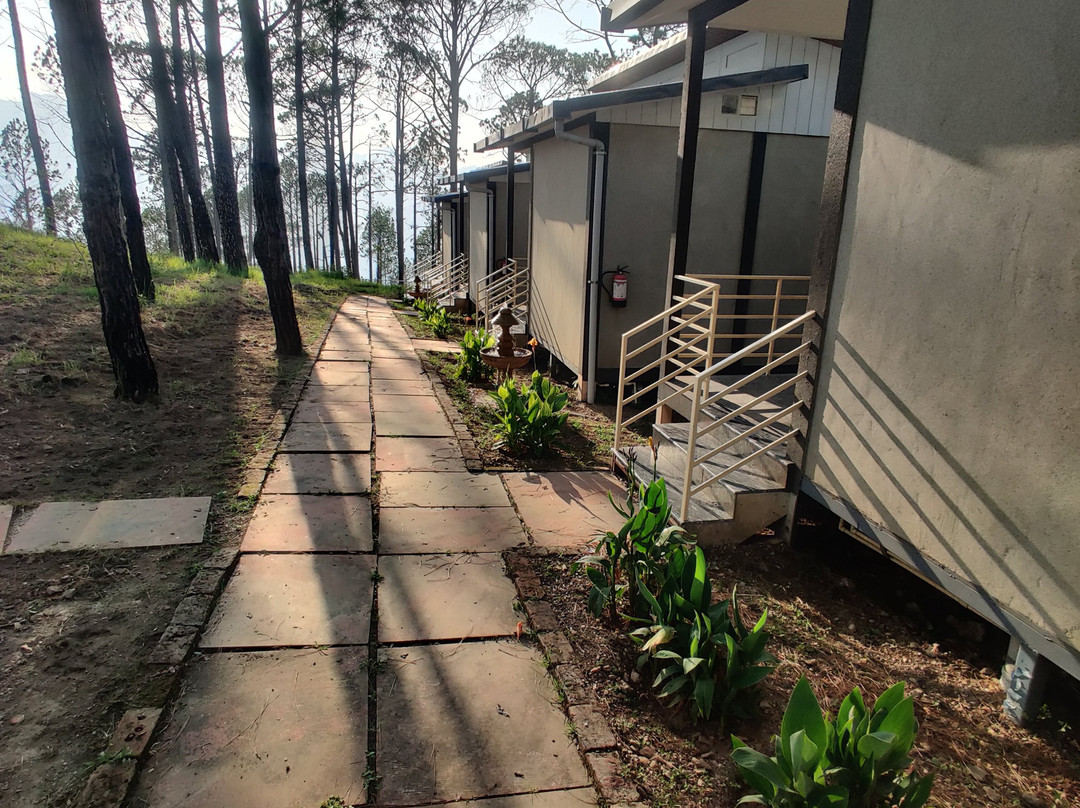 Conifer Resort