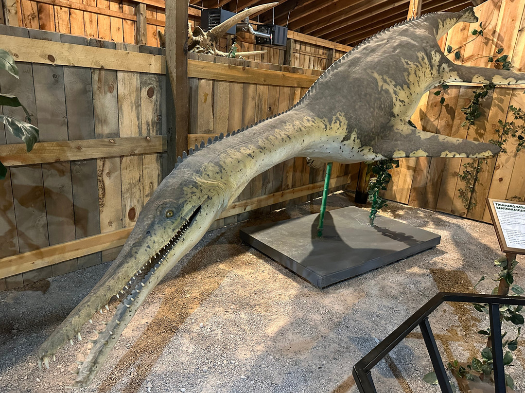 Dinosaur Museum-拉皮德城必去景点