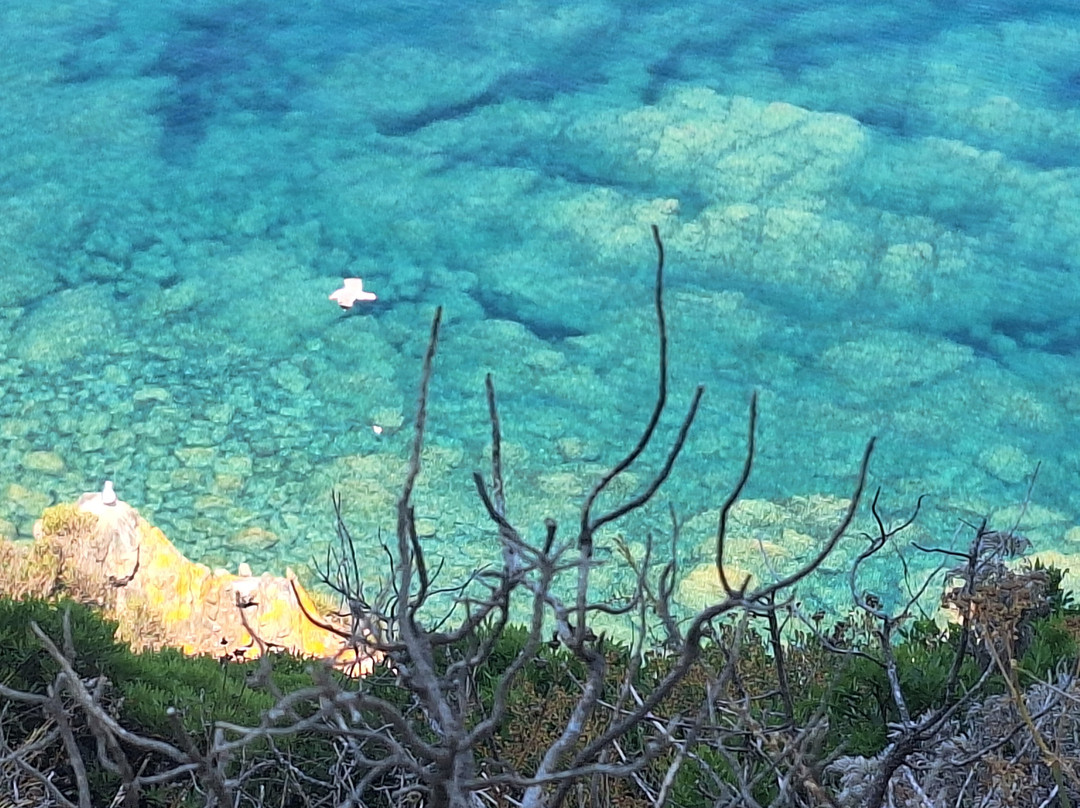 Mare Bellu-Tiuccia必去景点