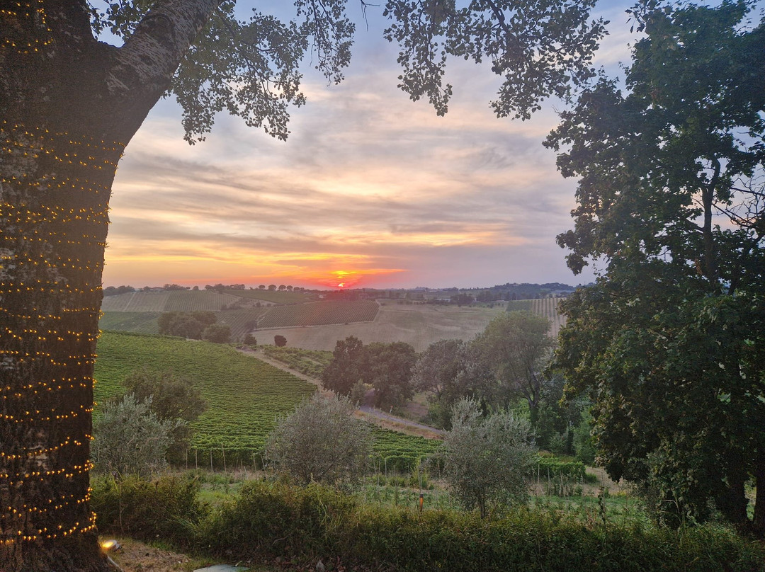 Podere La Berta