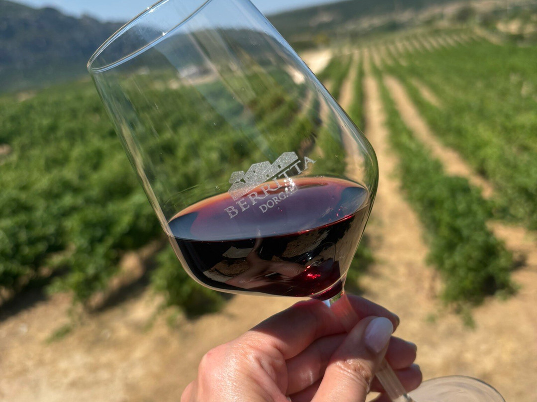 Wine Tasting Berritta-Dorgali必去景点
