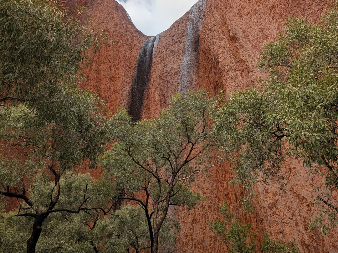 Sightseeing Tours Australia-墨尔本必去景点