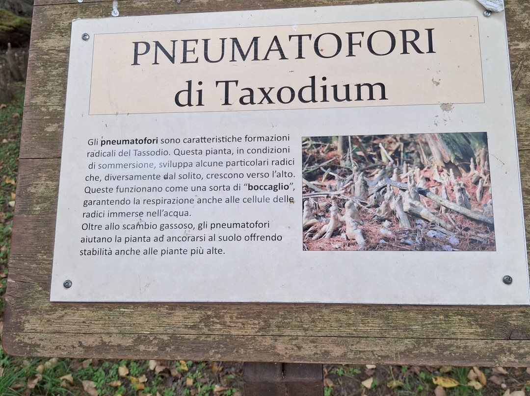 Parco protetto dei Tassodi-Paratico必去景点