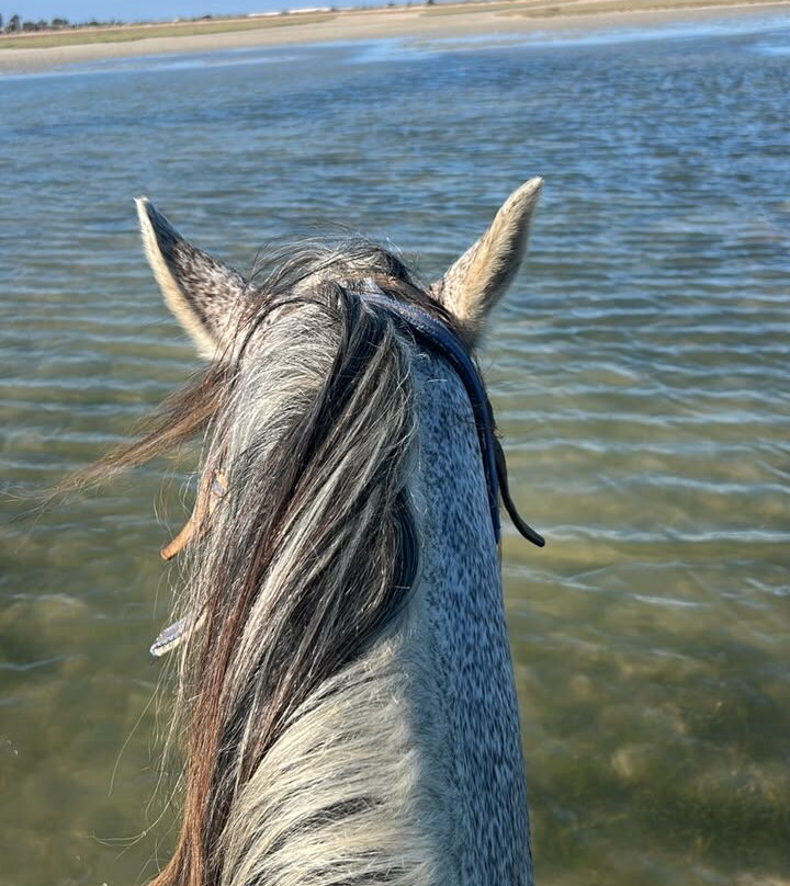 Ranch Yassmina Djerba La Douce-米栋必去景点