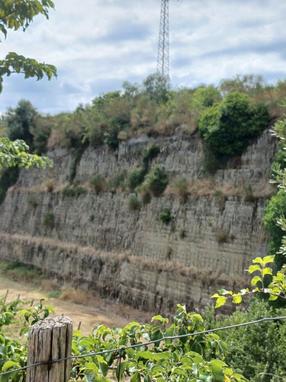 马尔非萨农场酒店-旅行者