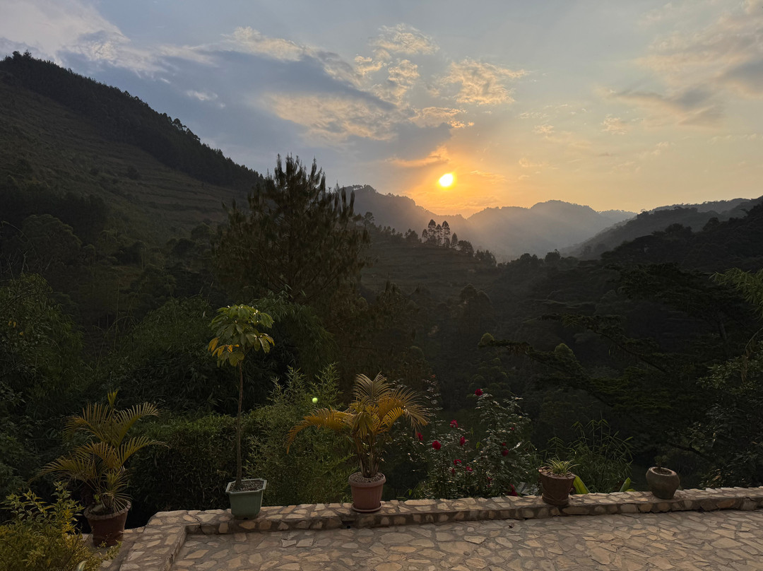 Bweza Gorilla Lodge